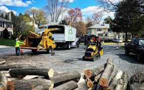 Best Tree Risk Assessment  in Finneytown, OH